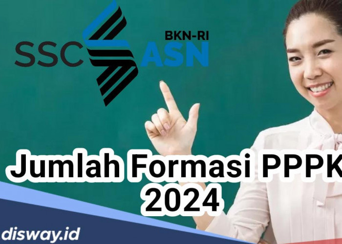 Kesempatan Menjadi Pegawai Pemerintah, Berikut Formasi PPPK Penerimaan 2024