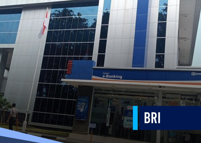 Pahami Sebelum Ajukan KUR BRI, Jenis Usaha Berikut Pasti Ditolak Bank