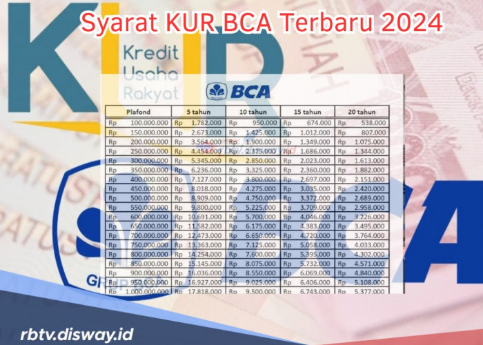 Syarat KUR BCA 2024 Terbaru untuk Usaha UMKM,  Dapatkan Dana Pinjaman Rp100 Juta, Tenor Capai 60 Bulan