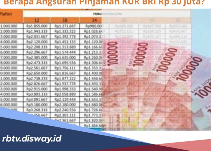 Berapa Angsuran Pinjaman KUR BRI Rp 30 Juta? Ternyata per Bulan Cuma Segini, Simak Tabel Angsurannya