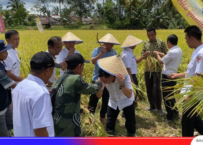 9 Desa di Mukomuko Rawan Swasembada Pangan Karena Faktor Jalan dan Tidak Ada Lahan