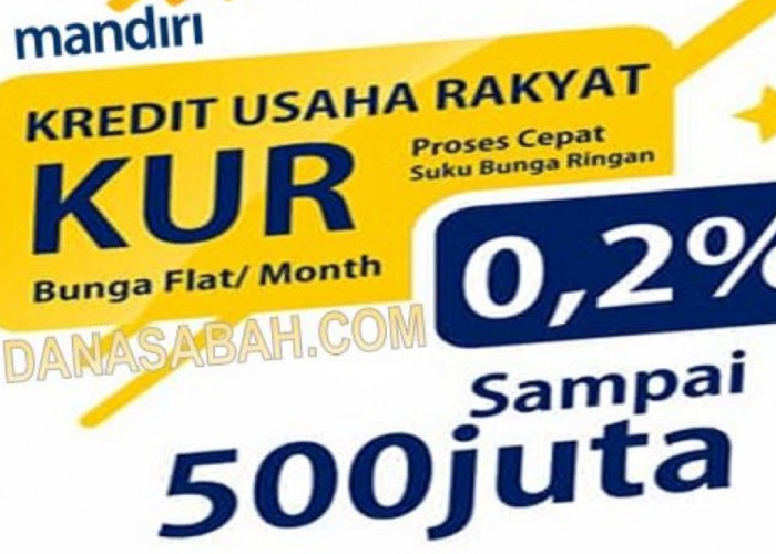 Kabar Baik, Sektor Usaha Ini Bisa Ajukan Pinjaman KUR Mandiri hingga 4 Kali, Langsung Cair Rp100 Juta