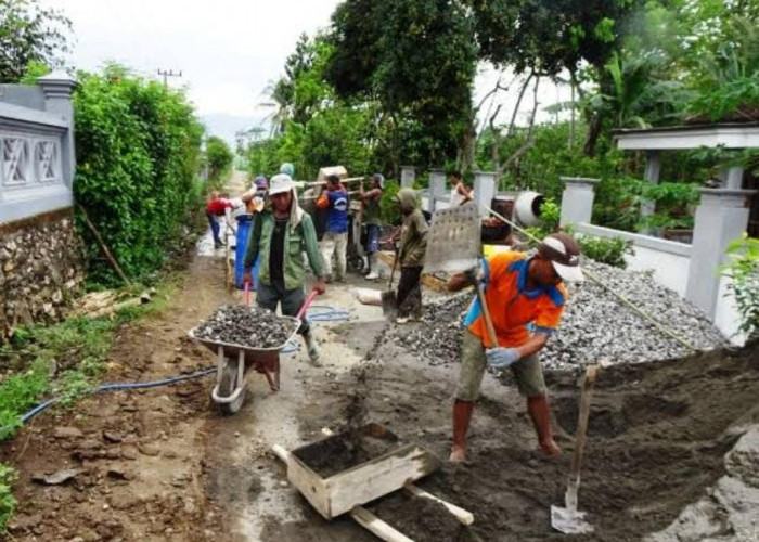 Katanya Paling Tinggi, Ternyata Segini Gaji Pendamping Lokal Desa untuk Wilayah Kalimantan