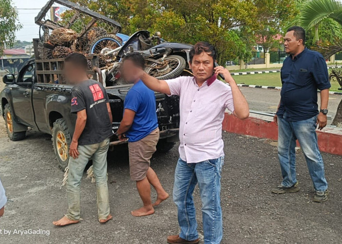 Tidak Jera, 2 Warga Ini Kembali Ditangkap karena Mencuri Buah Sawit