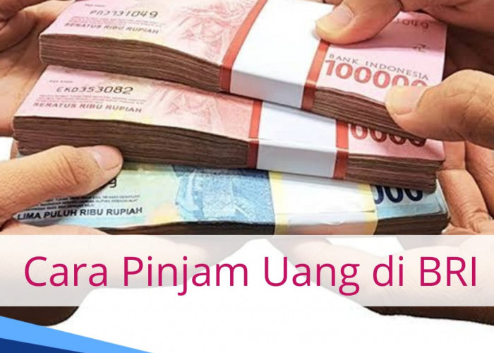 Ada 4 Pilihan Cara Pinjam Uang di BRI, Begini Langkah dan Syarat Pengajuannya