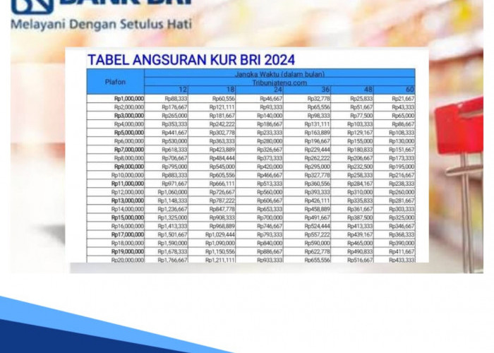 Tabel Angsuran KUR BRI 2024 Terbaru, Pinjaman Rp 200 Juta Cicilan Per Bulannya hanya Segini