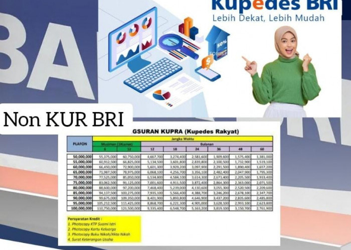 6 Langkah Cepat Pinjam Rp 85 Juta Non KUR BRI, Asal Punya SIM Langsung Cair, Bayar Angsuran Sampai 5 Tahun 