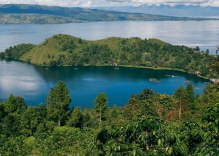 Bagian Barat Pulau Emas Suwarnadwipa, Ternyata Punya Simpanan Emas yang Berada di Hutan Lindung