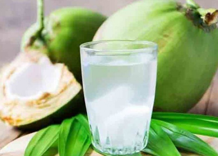 Konsumsi Secara Rutin! ini Dia 8 Manfaat Minum Air Kelapa Muda Selama 7 Hari yang Akan Kamu Rasakan