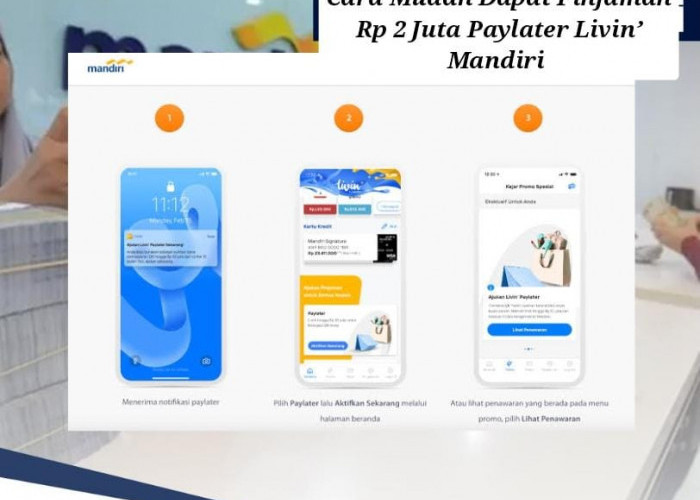 Cara Mudah Dapat Pinjaman Rp 2 Juta Paylater Livin’ Mandiri, Ini Biaya Admin dan Simulasi Cicilannya