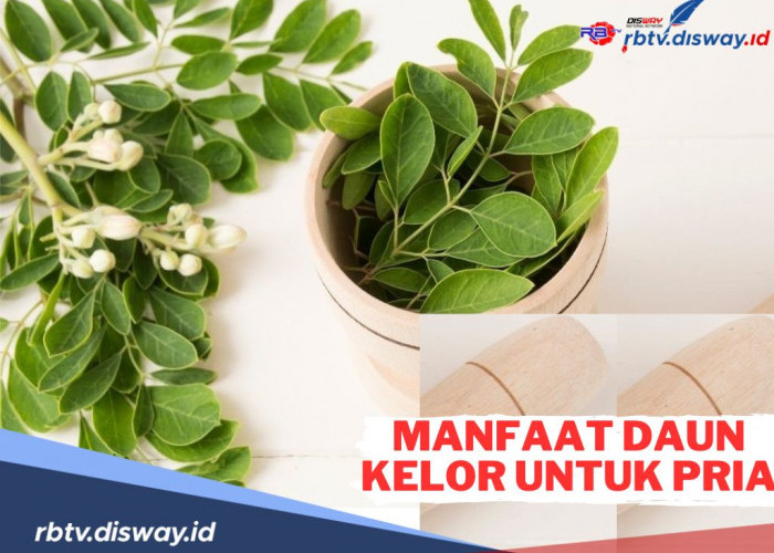 5 Manfaat Daun Kelor untuk Kesehatan Pria, Kaum Adam Pasti Suka 