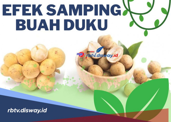 Hati-hati yang Berlebihan Tak Baik! Ini Efek Samping Buah Duku Bisa Bikin Gendut