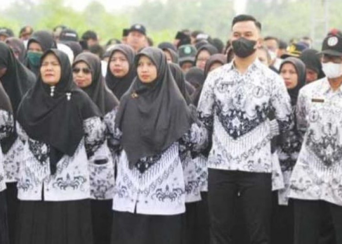 Gaji dan Tunjangan PPPK 2023, Golongan I Dapat Rp 2.686.200 Apalagi Golongan XVII