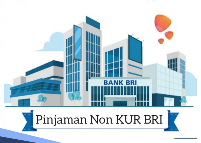 Solusi Gagal Pinjam KUR BRI 2024, Pinjaman Rp 50 Juta Non KUR Cicilan Rp 1 Jutaan, Simak Syaratnya 