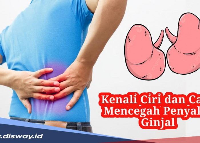 Ini Ciri dan Gejala Jika Kamu Terkena Penyakit Ginjal dan Begini Cara Pencegahannya