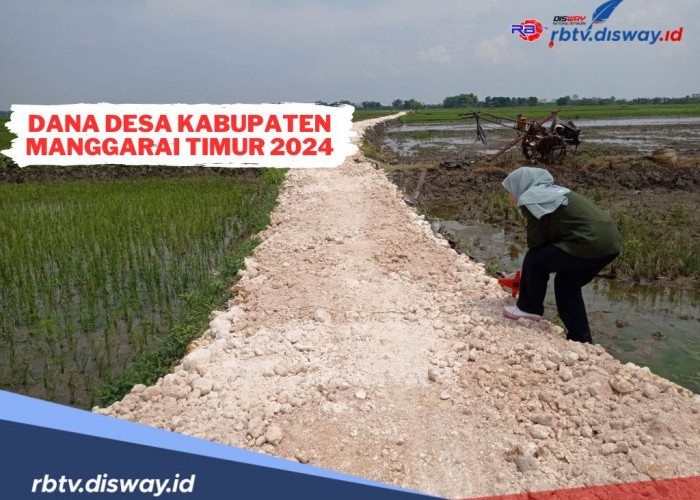 Rincian Dana Desa Kabupaten Manggarai Timur 2024, Ini 53 Desa dengan Kucuran DD di Atas Rp 1 Miliar