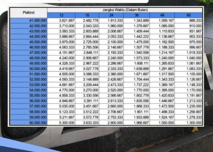 Angsuran Pinjaman Rp 45 Juta KUR BRI 2024, Bisa Nyicil Rp 800 Ribuan Sampai 5 Tahun, Siapkan Berkasnya 