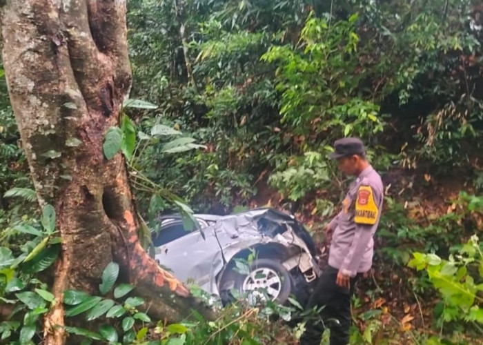 Mobil Dinas Pemda Empat Lawang Masuk Jurang di Jalan Liku Sembilan