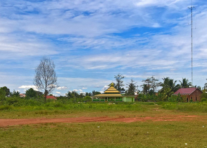 Selain Gaji, Kades juga Bisa Dapat Uang dari Tanah Bengkok, Apa Itu Tanah Bengkok?