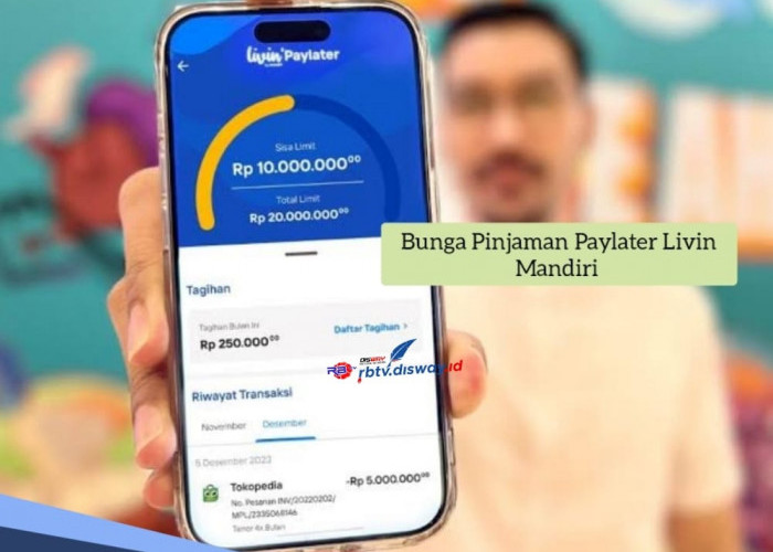 Segini Bunga Paylater Livin Mandiri, Simak 6 Cara Menggunakannya untuk Belanja Sekarang Bayar Nanti 