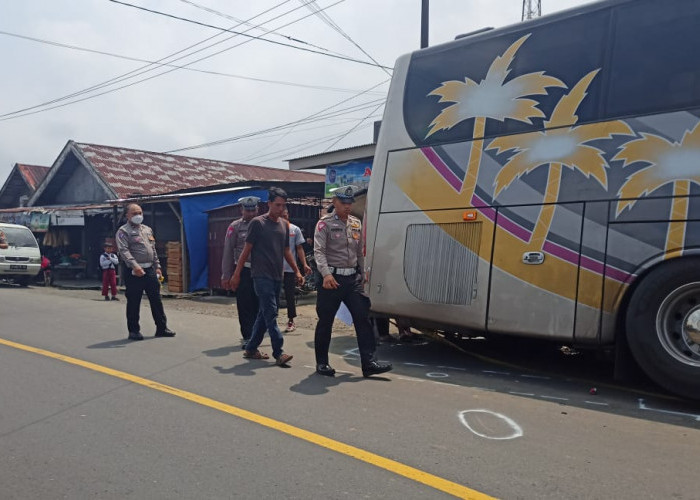 Bus SAN Terlibat Kecelakaan Maut, Bagaimana Nasib Penumpangnya?