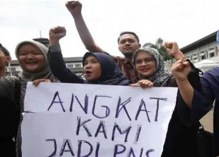 Berikut Daftar Nama Honorer Se-Indonesia yang Disebut akan Diangkat ASN Tanpa Tes. Cek Daftar 6 