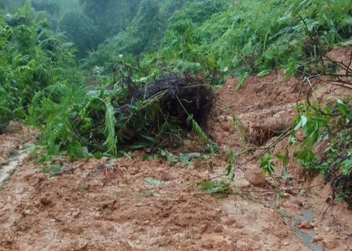 Tanah Longsor Lumpuhkan Akses Jalan ke Ulu Talo