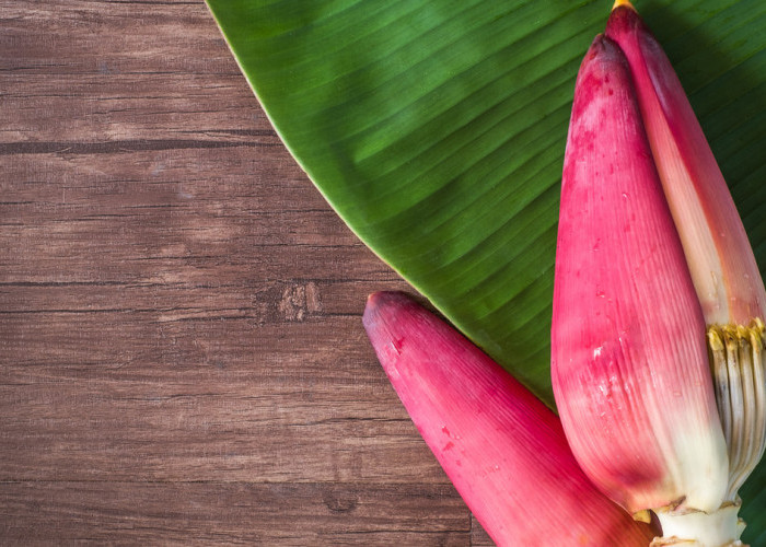 Setiap Wanita Dianjurkan Makan Jantung Pisang, Manfaatnya Tidak hanya Mengurangi Komplikasi Diabetes