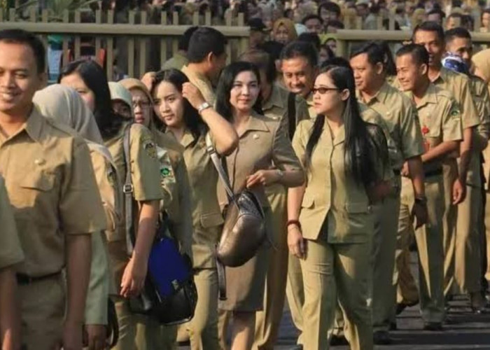 Makin jadi Incaran, Kini PNS dan PPPK Punya Hak Setara 