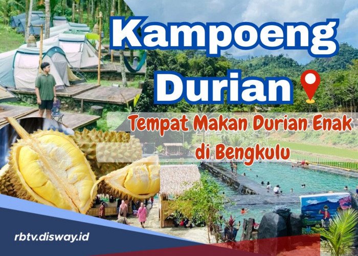 Cari Tempat Makan Durian Enak di Bengkulu Sembari Berwisata? Yuk ke Kampoeng Durian