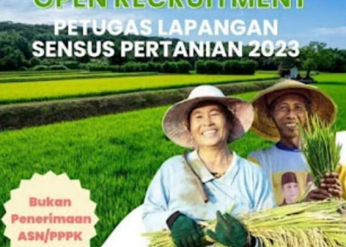 Masih Ada Kesempatan Daftar Lowongan Petugas Sensus, di Tiga Kabupaten Sudah Ribuan Pendaftar