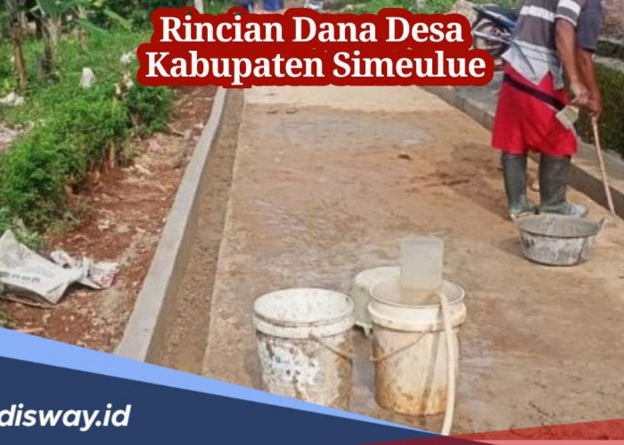 Rincian Dana Desa Kabupaten Simeulue 2024, Ini Daftar 3 Desa yang Dapatkan Kucuran Dana Lebih Rp 1 Miliar