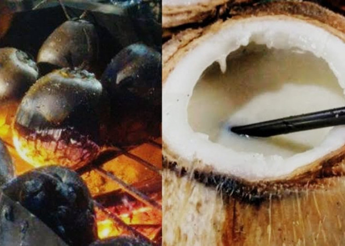 Tips dan Trik Membuat Kelapa Bakar yang Enak dan Sehat, Ini 7 Manfaatnya Bagi Kesehatan Tubuh