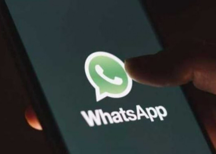 6 Langkah di Fitur WhatsApp Ini Buat Nasabah Galbay Tersenyum, Debt Collector Cemberut