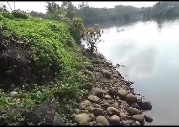 Bronjong Mulai Rusak, Abrasi Ancam Rumah Warga dan Jalinbar