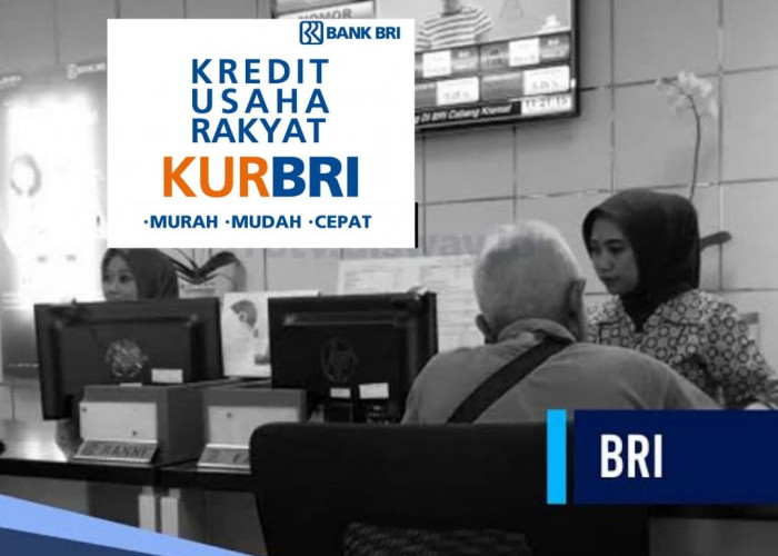 KUR BRI 2024, Usaha Baru 6 Bulan Pinjam Rp 65 Juta Cair Cepat, Segera Ajukan