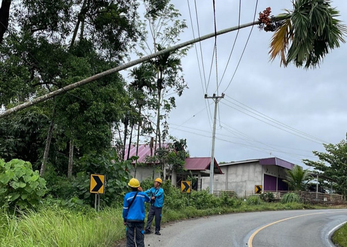 Enam Titik Jaringan PLN Putus Akibat Badai