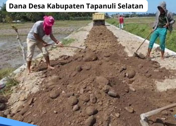 Daftar Lengkap Dana Desa Kabupaten Tapanuli Selatan Tahun 2024, Simak Rincian Alokasi Per Desa
