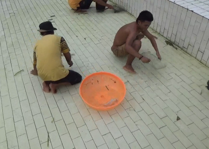 Kolam Renang Diduga Alih Fungsi Jadi Peternakan Ikan, Lelang Perbaikan Gagal