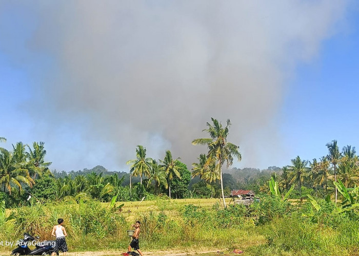 Kebakaran Lahan, Kantor Satpol PP Seluma Nyaris Terbakar