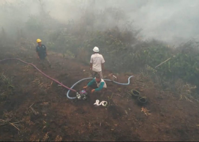 2 Hektare Lahan PT. SIL Terbakar, Diduga Akibat Lalai, Polres Seluma Bertindak 