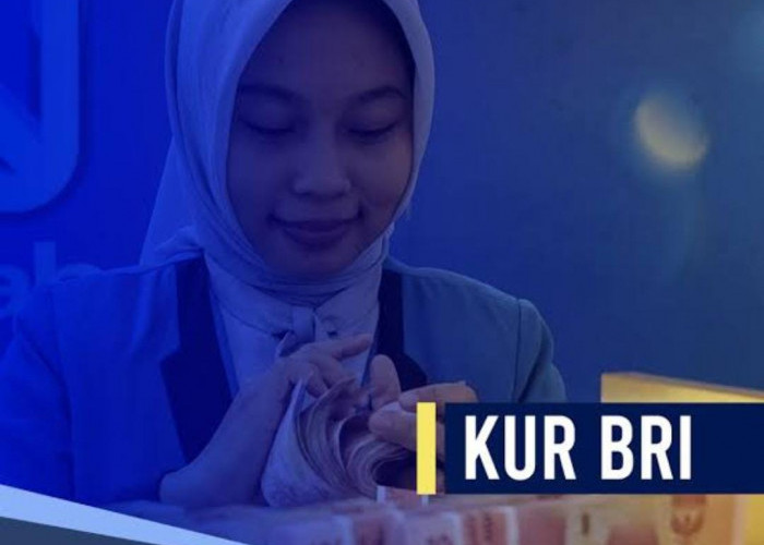 Ajukan KUR BRI Rp 25 Juta Bebas Biaya Administrasi dan Provisi, Simak Tabel Angsuran Per Bulannya