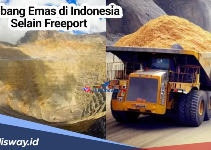 Harta Karun Tersembunyi, Ini 6 Tambang Emas di Indonesia selain Freeport