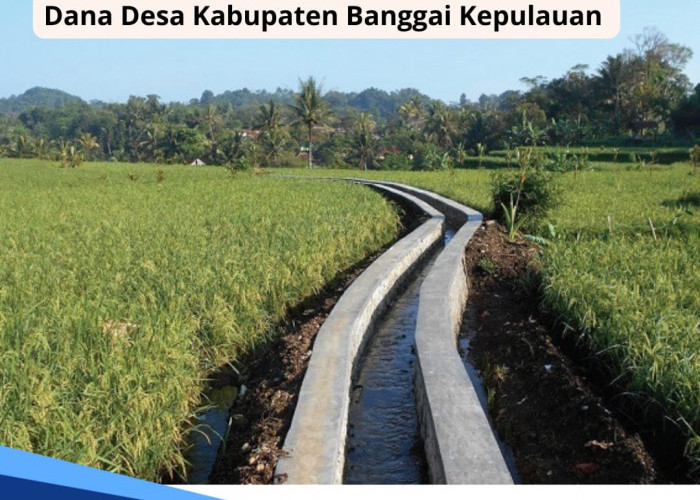 Dana Desa 2024 di Kabupaten Banggai Kepulauan Provinsi Sulawesi Tengah, Cek Rincian per Desanya di Sini