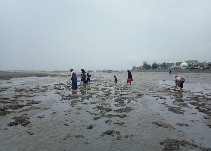 Air Laut di Pantai Malabero Surut hingga 25 Meter, Begini Penjelasan BMKG