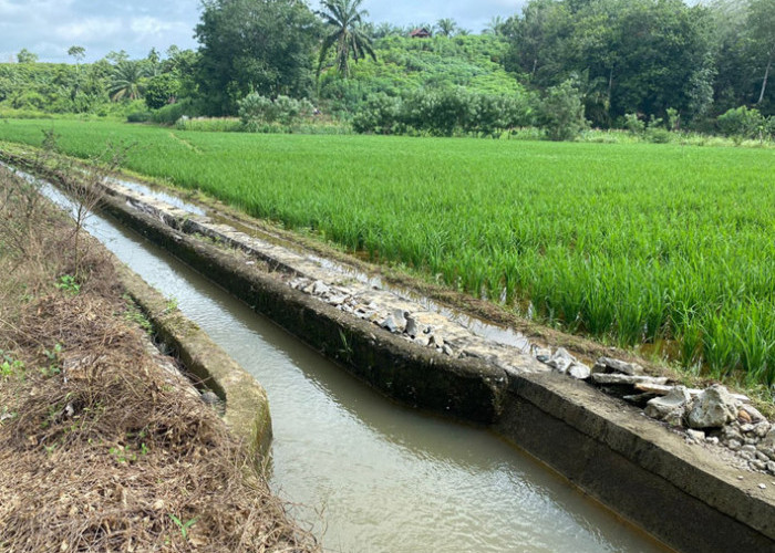 Desa Mana di Kabupaten Bandung Dapat Dana Desa Paling Besar? Ini Rinciannya untuk Seluruh Desa