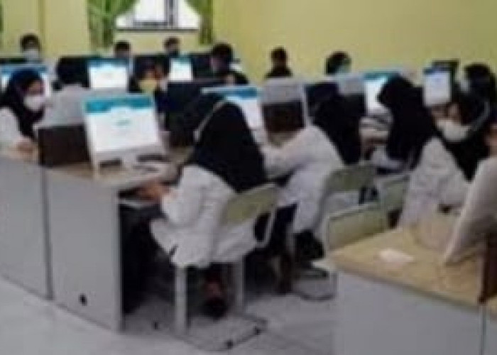 Kabar Gembira, Pemkab Mukomuko Usulkan Perekrutan 249 PPPK