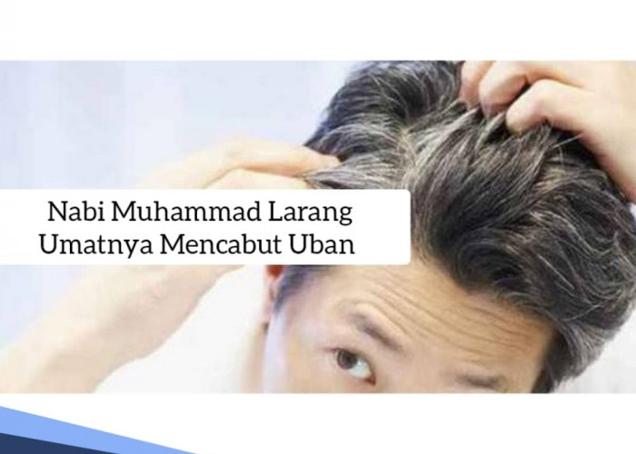 Hati-hati, Nabi Muhammad Melarang Umatnya Mencabut Uban, Picu Datangnya Murka Allah