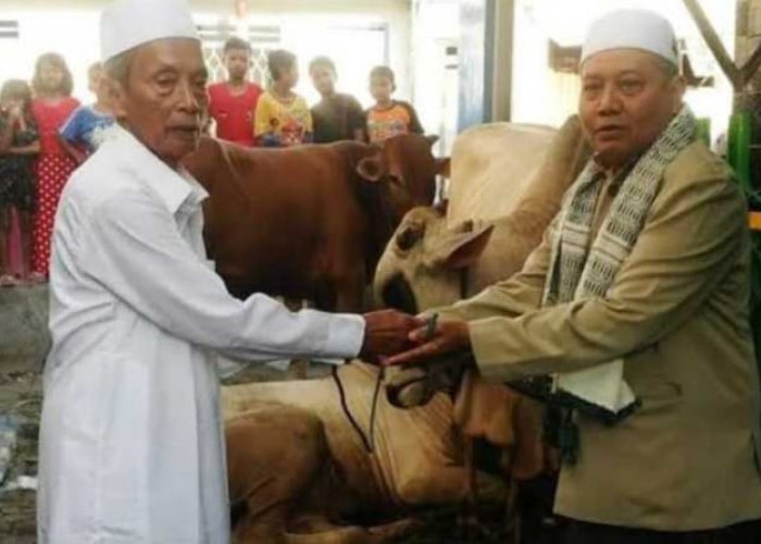 Kenapa Dilarang Potong Kuku dan Rambut Sebelum Berkurban? Ini Penjelasannya