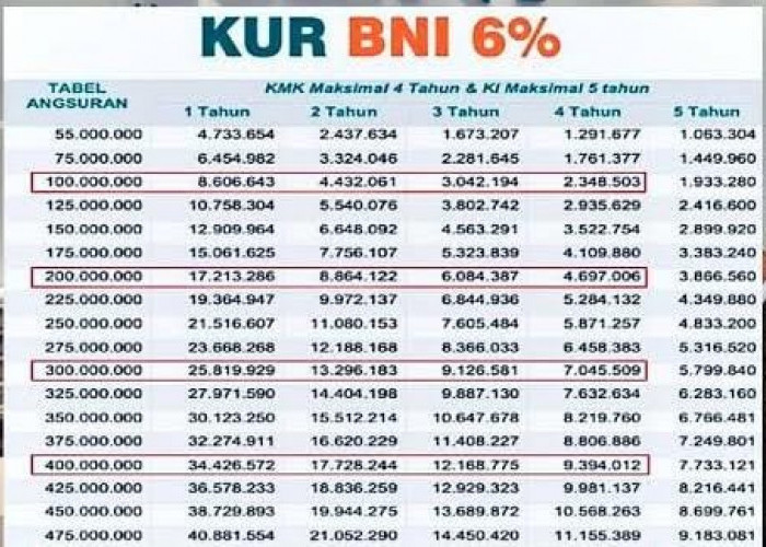 KUR BNI 2024, Cek Simulasi Cicilan KUR BNI Pinjaman Rp30 Juta, Pilihan Tenor 12-60 Bulan